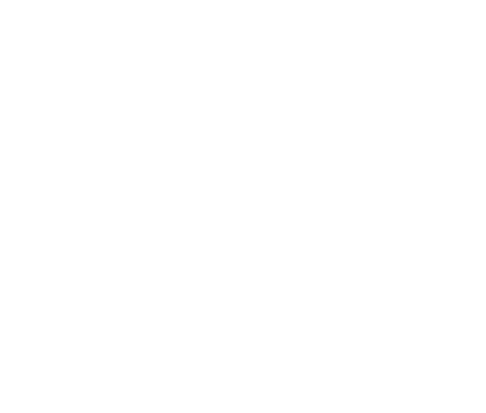 HVS logo